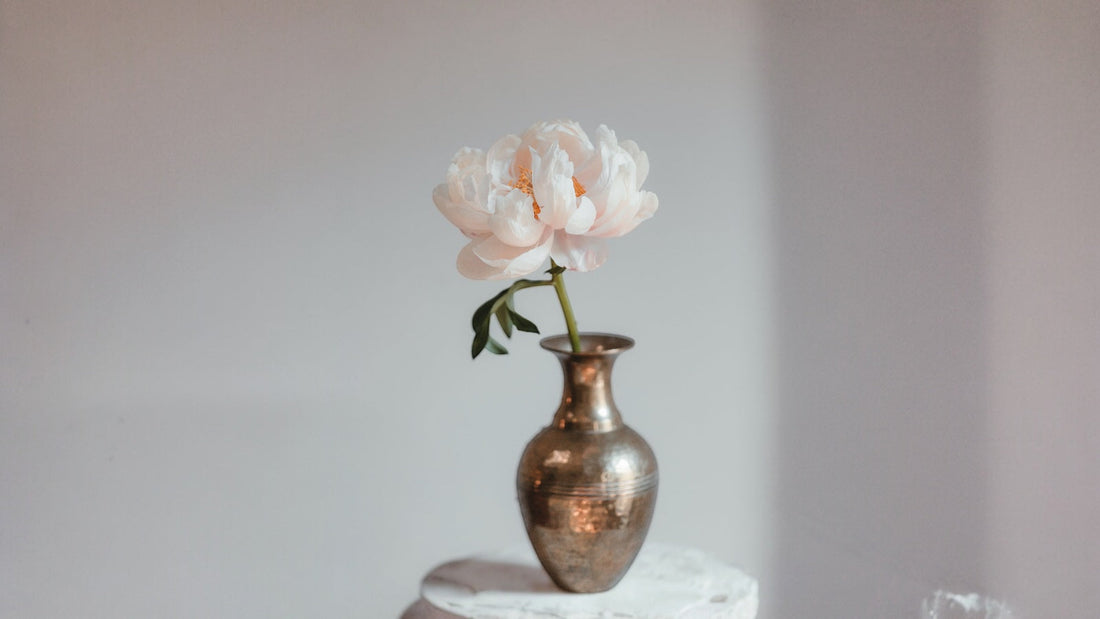 SHIMMER & MUSEを始めた理由　ーファッションを通して私が日本にできることー