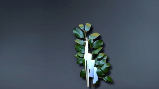 麻と絹と皇室　ー神話から紡がれる二つの布の物語ー